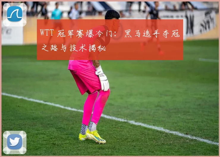 WTT 冠军赛爆冷门：黑马选手夺冠之路与技术揭秘