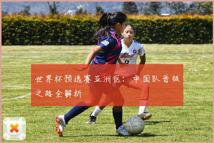 世界杯预选赛亚洲区：中国队晋级之路全解析